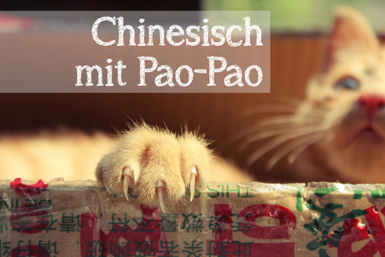 Chinesisch mit Pao-Pao, Katze
