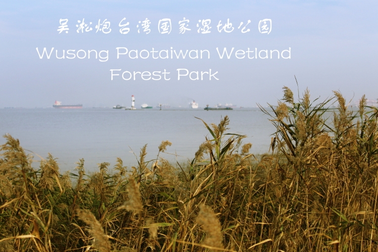 Wusong Paotaiwan Wetland Forest Park, Baoshan, Shanghai, China