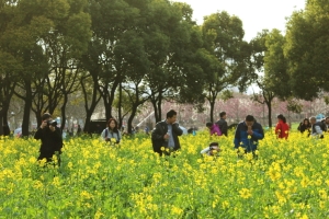 Frühling im Century Park, Shanghai